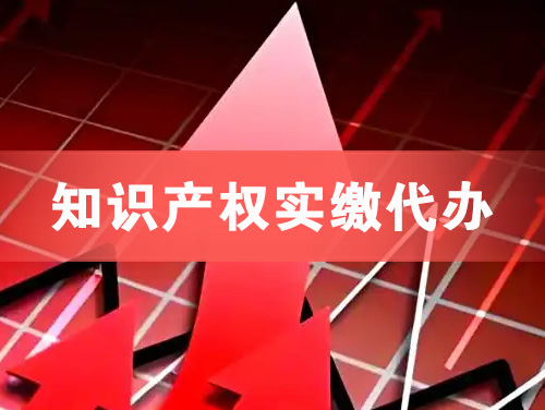 达州知识产权实缴资本代办